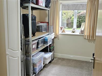 Picture 15